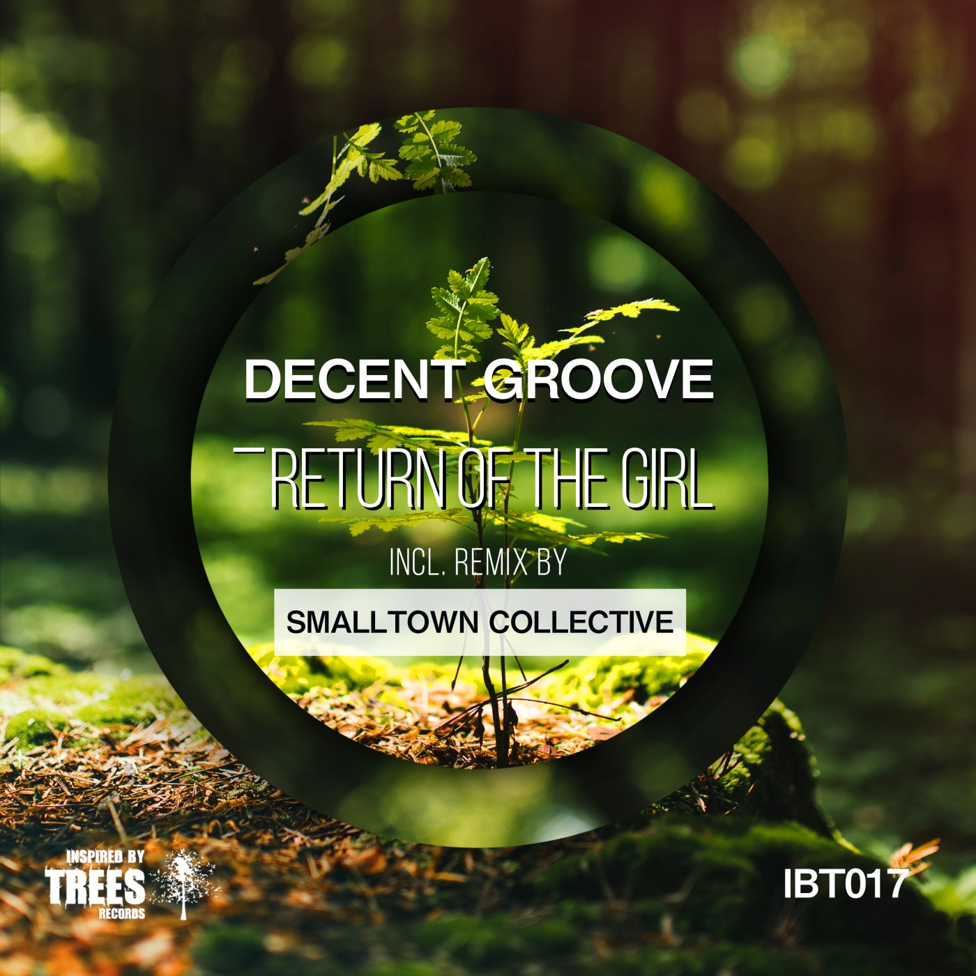 Decent Groove – Return Of The Girl [IBT017]